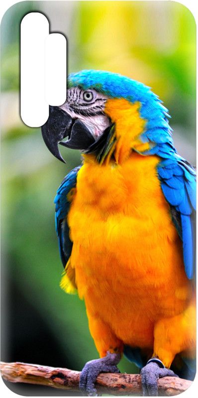 Smutty Back Cover for Realme X2, RMX1992, RMX1993, RMX1991 - Parrot Print  (Multicolor, Hard Case, Pack of: 1)
