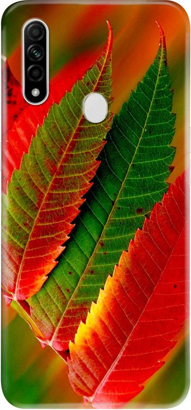 Yunic Back Cover for Oppo A31  (Multicolor, Hard Case)