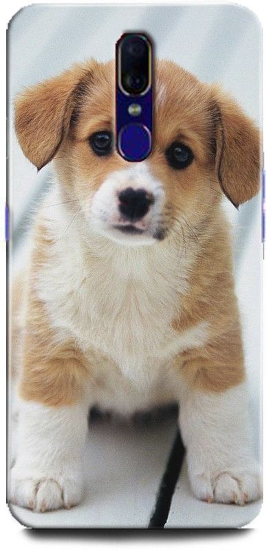 INTELLIZE Back Cover for OPPO F11/CPH1911 dog,Printed  (Multicolor, Shock Proof, Pack of: 1)