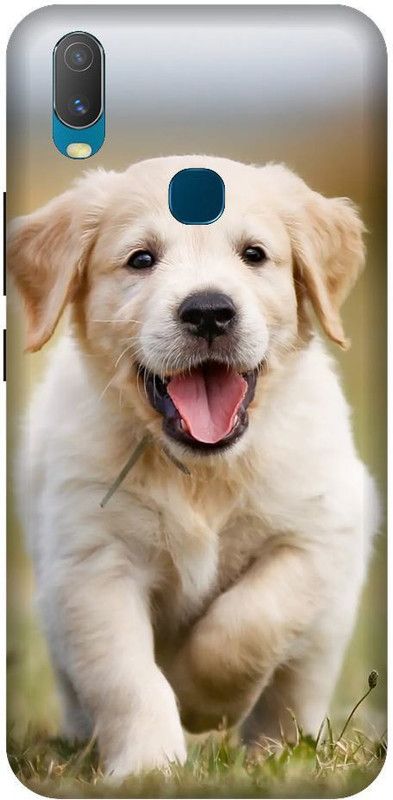 URCHIN Back Cover for Vivo Y12 Dog, Cute dog, puppy, animals, pets, cute puppy, love, Dogs  (Multicolor, Shock Proof, Pack of: 1)