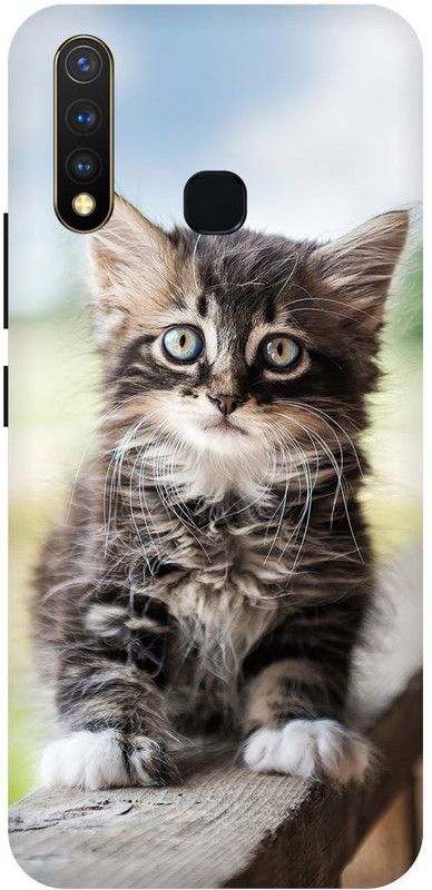 THESTONEWELL Back Cover for Vivo Y19 indian cat indian huse  (Multicolor, Waterproof, Pack of: 1)