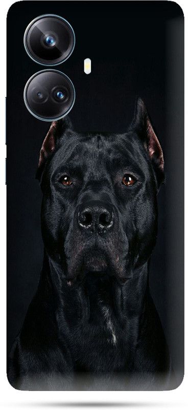 Hone & oise realme 10 pro back skin Mobile Skin  (Multicolor)