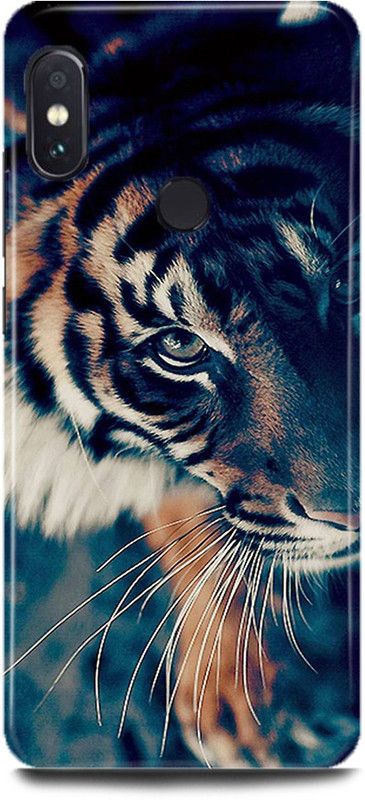 MP ARIES MOBILE COVER Back Cover for Mi A2, MZB6437IN, Lion,The,King,Of,Jungal,Lion,Face,Angry,Lion,  (Multicolor, Hard Case, Pack of: 1)