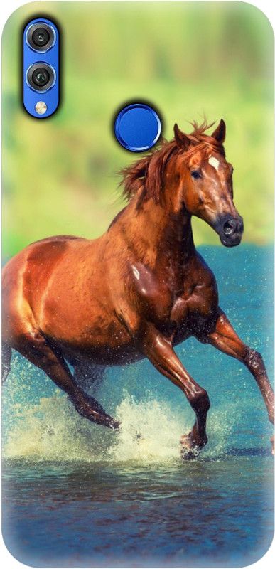 Smutty Back Cover for Honor 8X - Horse Print  (Multicolor, Hard Case, Pack of: 1)
