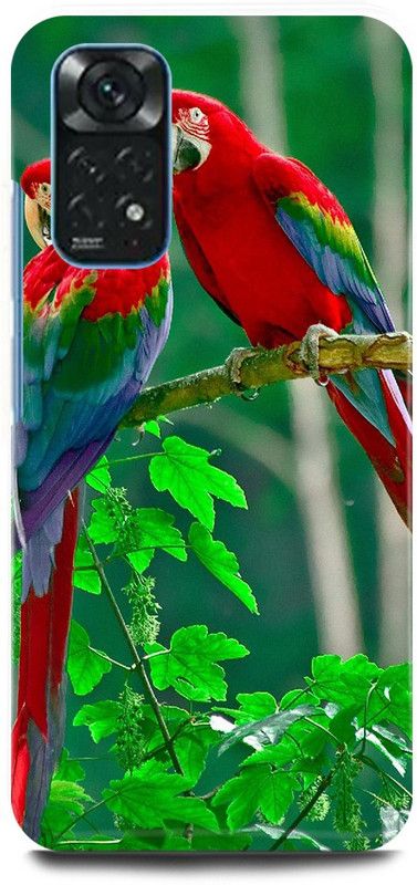 play fast Back Cover for Redmi Note 11 PARROT, PEIGON, LOVE, BIRDS  (Green, Hard Case, Pack of: 1)