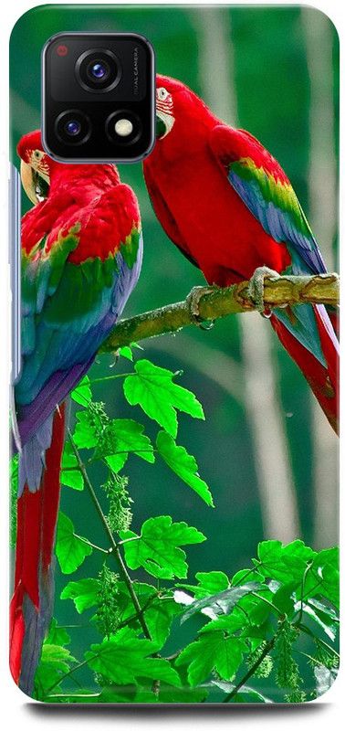 play fast Back Cover for Vivo Y72 5G, V2060 PARROT, PEIGON, LOVE, BIRDS  (Green, Hard Case)