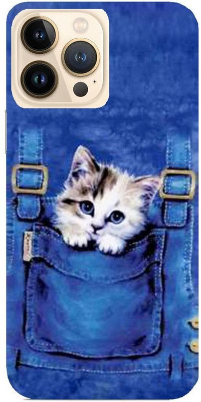 KIZIN Back Cover for Apple iPhone 13 Pro Max  (Blue)