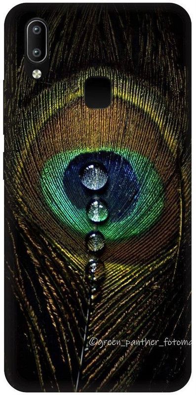 URCHIN Back Cover for Vivo Y95 Radha Krishna, Radha and Krishna, Krishna, Radha, God  (Multicolor, Shock Proof)