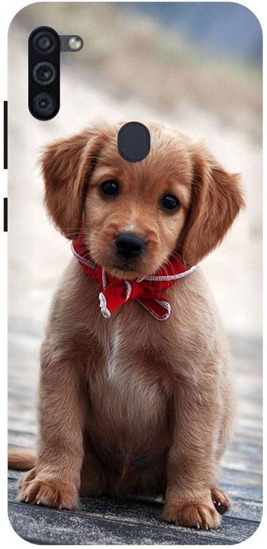 URCHIN Back Cover for Samsung M11 Dog, Cute dog, puppy, animals, pets, cute puppy, love, Dogs  (Multicolor, Shock Proof, Pack of: 1)