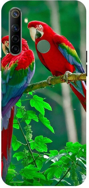 URCHIN Back Cover for Realme5i Parrot, Natural, Nature, tropical, birds, parrot couple, cute, beautiful  (Multicolor, Shock Proof, Pack of: 1)