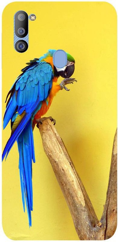 Golden Mask Back Cover for Sky Hawk Back Cover For Samsung Galaxy M21 Blue Maccow  (Multicolor, Waterproof, Silicon, Pack of: 1)