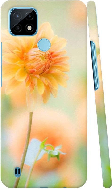 PEPART Back Cover for REALME C21  (Multicolor)
