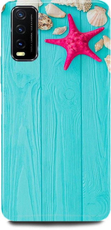 FASKY Back Cover for ViVO V20 SE, V2022, STAR BACK COVER  (Multicolor, Hard Case, Pack of: 1)