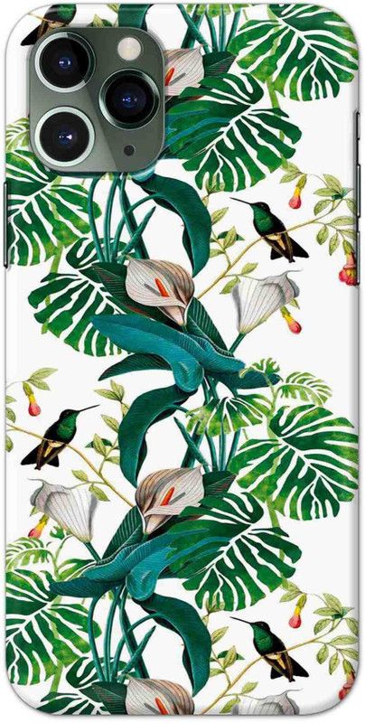 Alve Back Cover for Apple Iphone 11 Pro  (Multicolor)