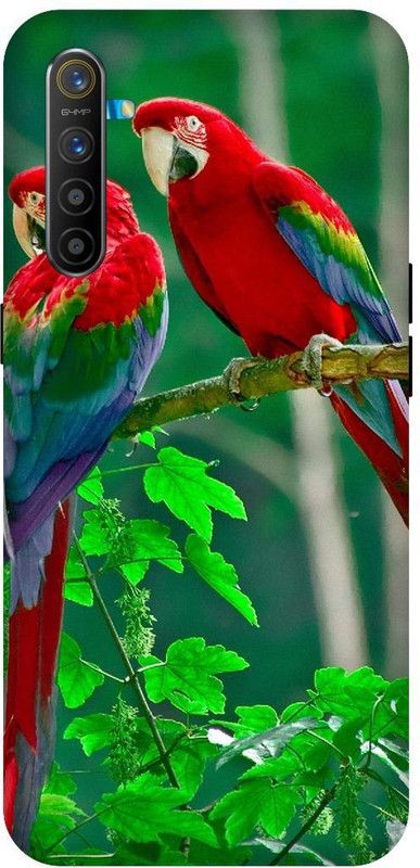 SSMORYA Back Cover for Realme X2 Parrot, Colorfull Printed Back Cover  (Multicolor, Waterproof, Pack of: 1)