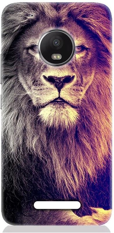 Smutty Back Cover for Motorola Moto C - Lion Print  (Multicolor, Hard Case, Pack of: 1)