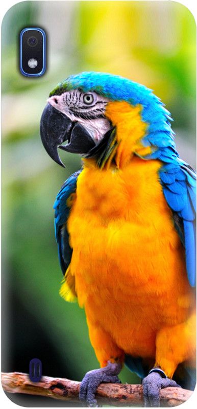 Smutty Back Cover for Samsung Galaxy A10, SM-A105F, SM-A105G - Parrot Print  (Multicolor, Hard Case)