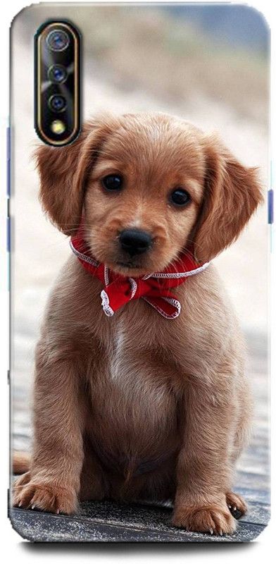 Afterglow Back Cover for Vivo S1 DOG, CUTE DOG, PUPPY, ANIMALS, PETS, CUTE PUPPY, LOVE, DOGS  (Multicolor, Shock Proof, Pack of: 1)