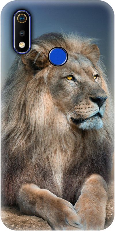 Smutty Back Cover for Realme 3, RMX1825, RMX1821 - Lion Print  (Multicolor, Hard Case)