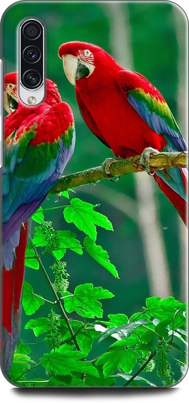 Afterglow Back Cover for SAMSUNG Galaxy A70 PARROT, NATURAL, NATURE, TROPICAL, BIRDS, PARROT COUPLE, CUTE, BEAUTIFUL  (Multicolor, Shock Proof, Pack of: 1)