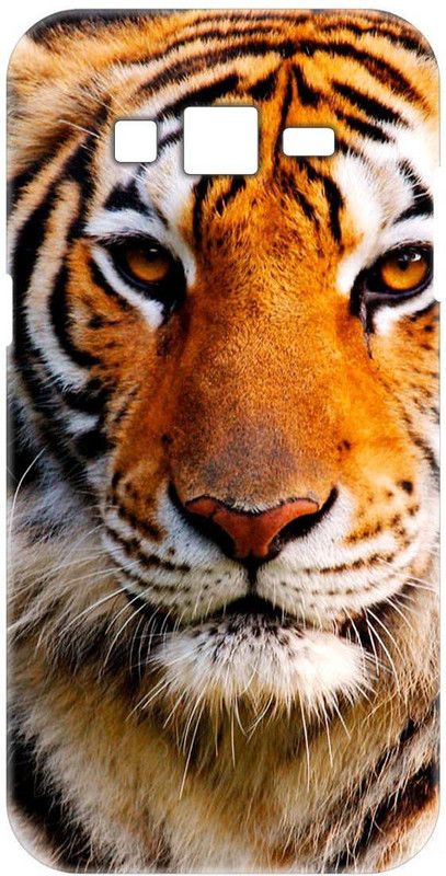Smutty Back Cover for Samsung Galaxy J7 Nxt, J701F/DS - Tiger Print  (Multicolor, Hard Case, Pack of: 1)