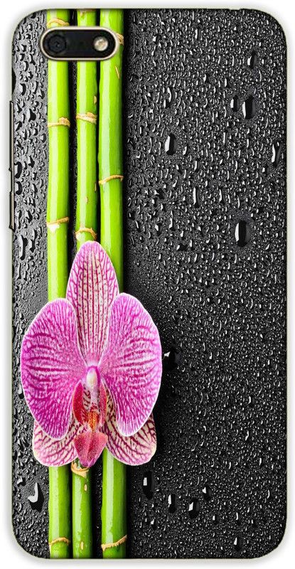 iprinto Back Cover for Honor 7S Nature Back Cover  (Green, Hard Case)