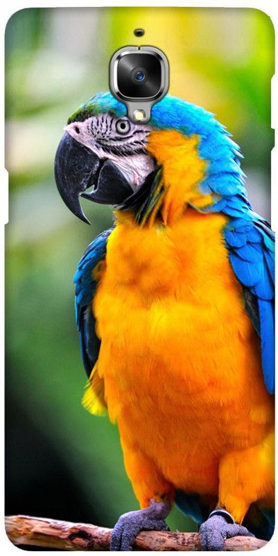 Smutty Back Cover for OnePlus 3T, A3010 - Parrot Print  (Multicolor, Hard Case, Pack of: 1)