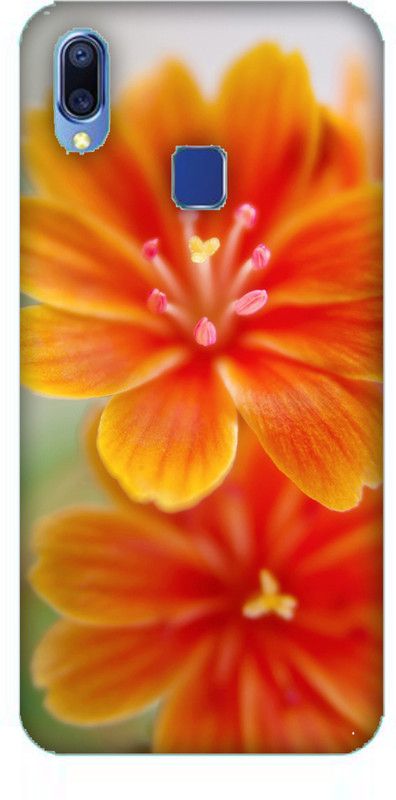 Snapdilla Back Cover for vivo Y93  (Multicolor)