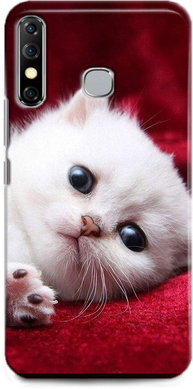 KEYCENT Back Cover for Infinix Hot 8 CAT, WHITE CAT, CUTE CATE, LITTILE CAT, BLUE EYES CAT  (Multicolor, Shock Proof, Pack of: 1)