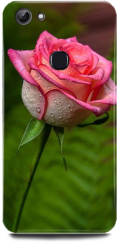 MP ARIES MOBILE COVER Back Cover for ViVO V7+, 1716, FLOWERS,Rose,Colurfull,Red,rose,Pink,Rose,White,Pink,Rose,  (Multicolor, Hard Case, Pack of: 1)