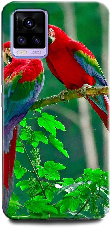 Afterglow Back Cover for Vivo V20 PARROT, NATURAL, NATURE, TROPICAL, BIRDS, PARROT COUPLE, CUTE, BEAUTIFUL  (Multicolor, Shock Proof, Pack of: 1)
