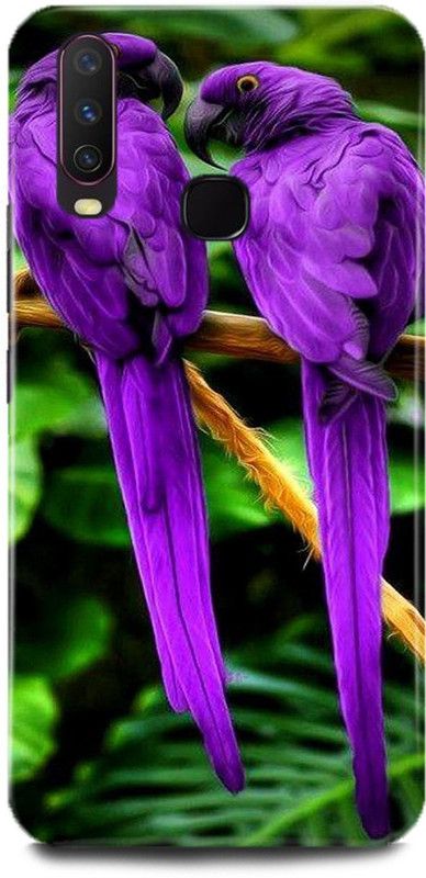 DIKRO Back Cover for VIVO Y17, 1902, PARROT, PURPLE, PARROT, PIGEON  (Multicolor, Hard Case, Pack of: 1)