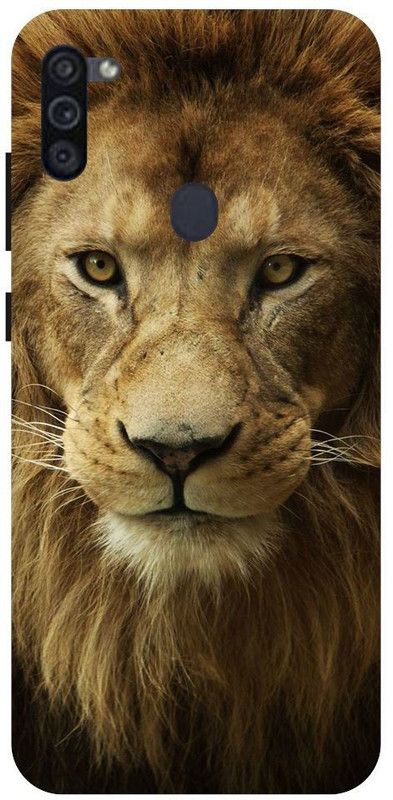 URCHIN Back Cover for Samsung M11 Lion, King, Logo, Black, Lion King  (Multicolor, Shock Proof, Pack of: 1)