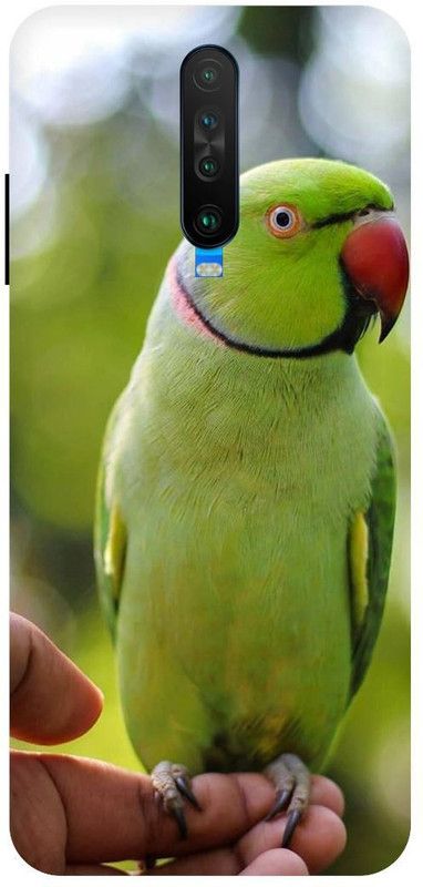 THESTONEWELL Back Cover for REDMI POCO X2 INDIAN PARROT COLERFULL INDIA  (Multicolor, Waterproof, Pack of: 1)