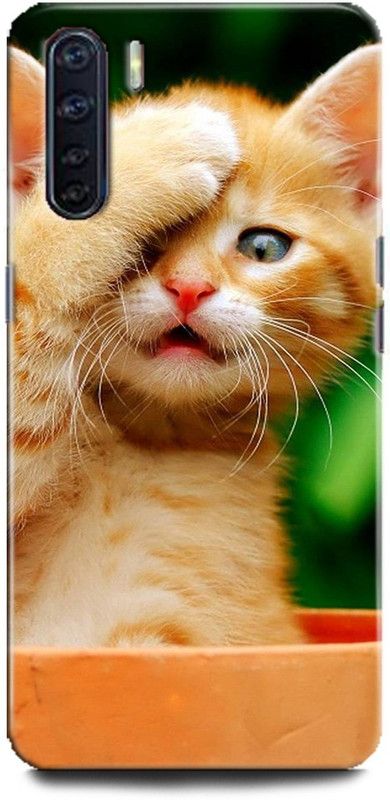 Afterglow Back Cover for Oppo F15 CAT, ANIMAL, CUTE CAT, FUNNY, PUSSYCAT, MEOW  (Multicolor, Shock Proof, Pack of: 1)