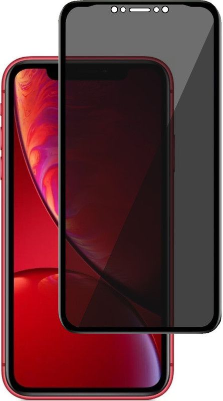 Pannu Edge To Edge Tempered Glass for Apple iPhone X  (Pack of 1)