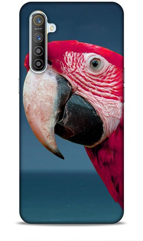 Keviv Back Cover for Realme XT, Realme X2  (Multicolor, Hard Case)
