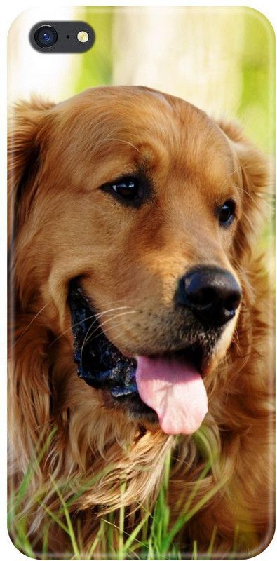 Smutty Back Cover for Oppo A71, CPH1717,Oppo A71 (2018), CPH1801 - Dog Print  (Multicolor, Hard Case, Pack of: 1)