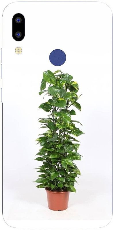 METOO Back Cover for Tecno i Air 2 Plus, Money Plant Tree Design Back Cover_Print_253  (Multicolor, Dual Protection, Silicon, Pack of: 1)