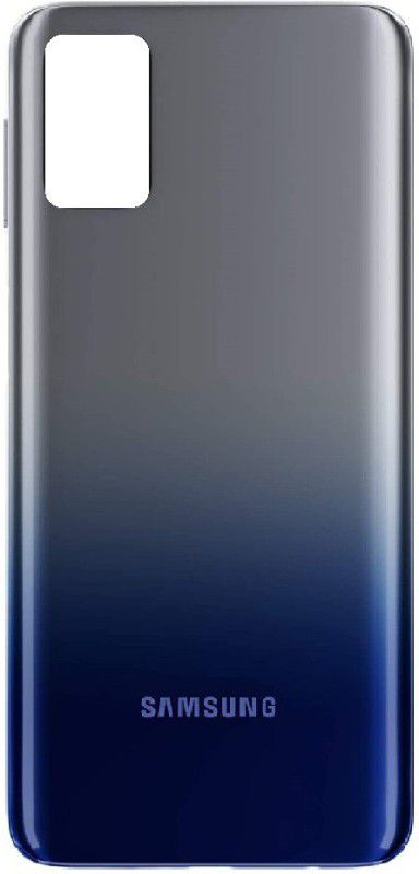 YOUNICK Samsung Galaxy M31s Back Panel  (Blue)