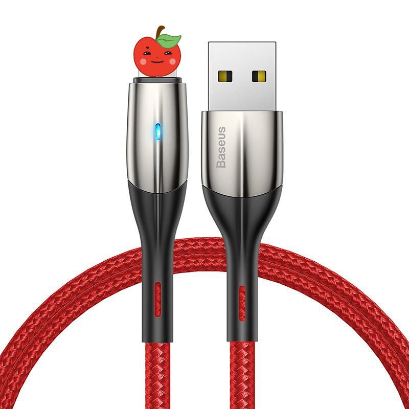Baseus Lighting USB Cable For iPhone Xs Max Xr X 8 7 6 5s 5 2.4A Fast Charging Data Wire Cord Cable For iPhone 11 Pro Max iPad