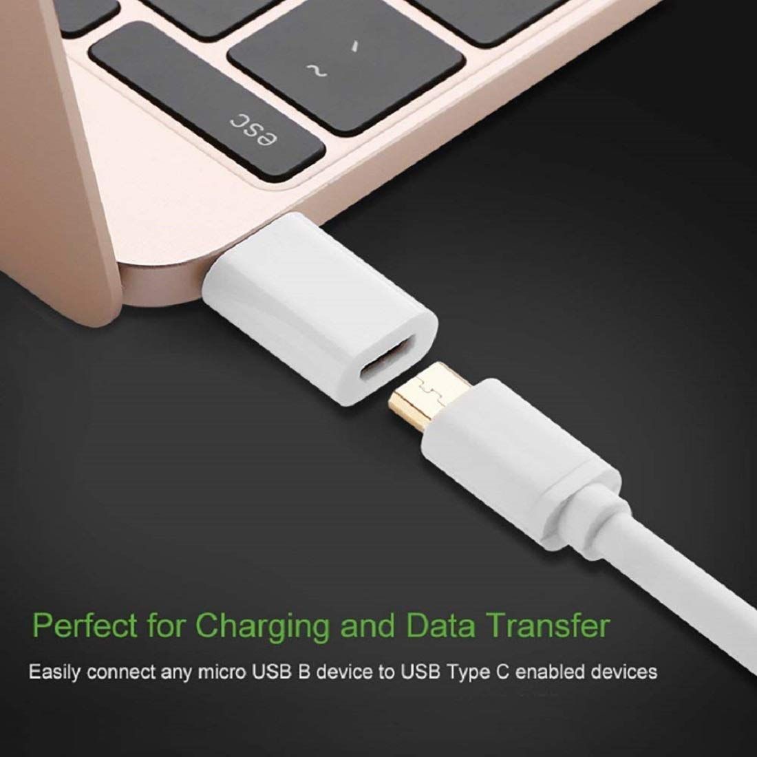 Micro USB Type C Converter