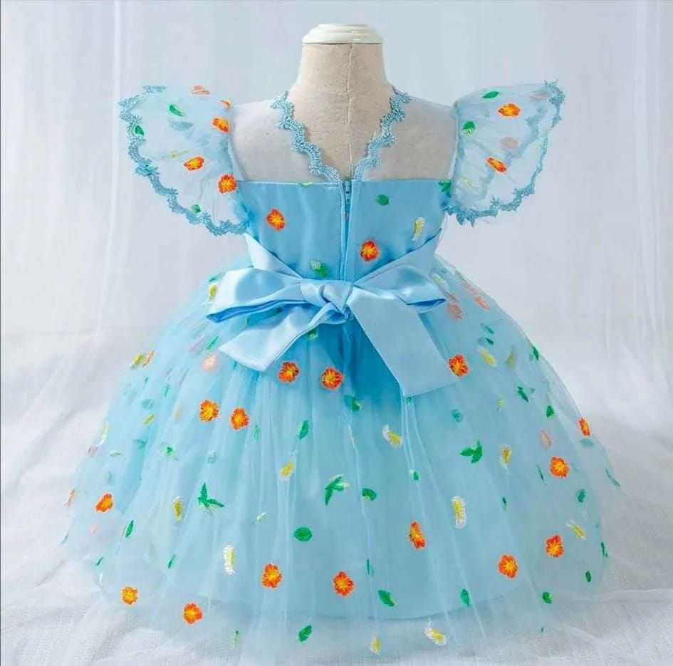 Baby Girl Party  Embroidery Dress Model: BC- 05