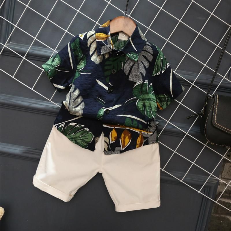 Baby Boy Short Sleeve Tops＋Short Pants Outfits