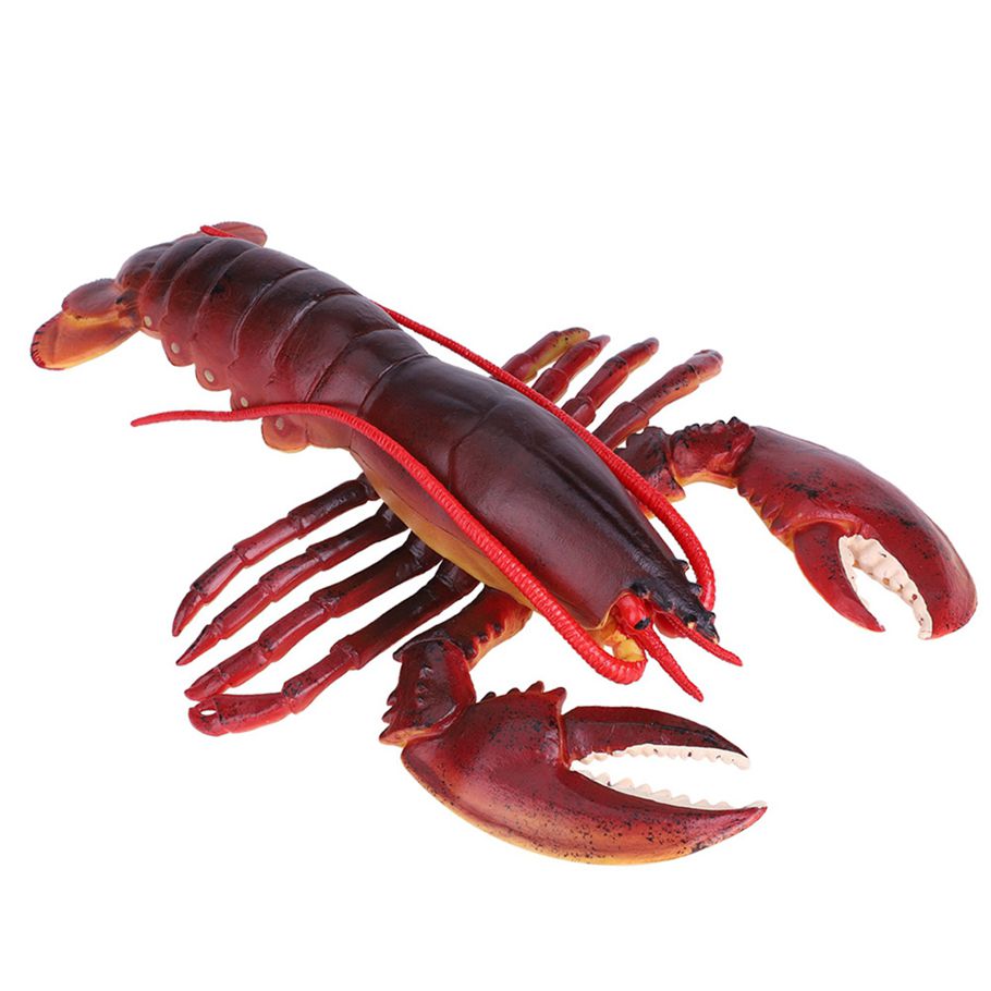 Plastic Lobster Simulation Safe Durable Smooth And Soft Teaching Aids Stage Performance Prop for Home Kids Toy