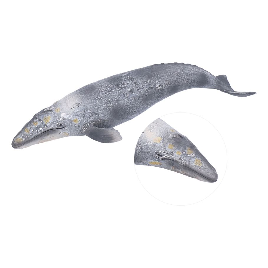Grey Whales Model Figurine Collection Fish Kid Children Play Game Toy NEW