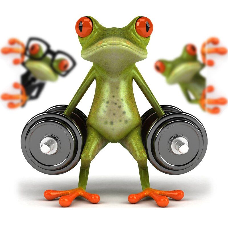 3D Frogs Waterproof  Car Sticker,Funny Gecko Automobiles & Motorcycles Decal Sticker Cover,Exterior Accessories Car accessories