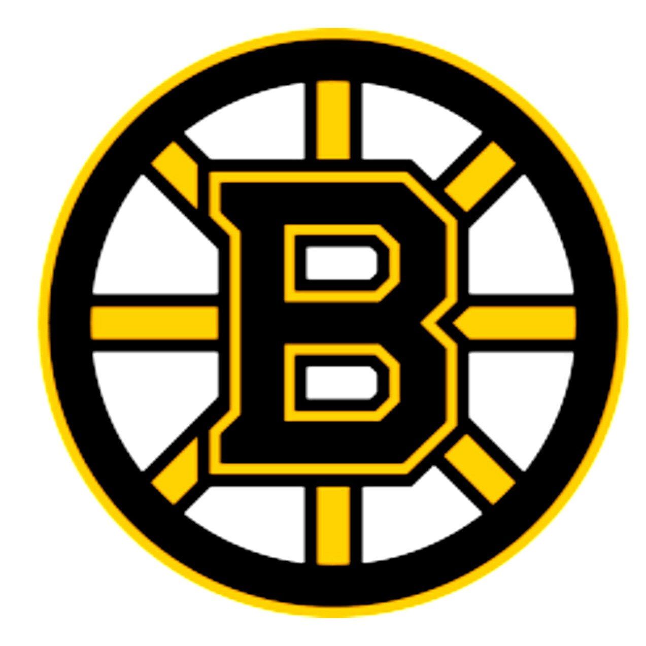Boston Bruins NHL Team Decal Sticker For Auto Car/Bumper/Window Vinyl Decal Sticker Decals DIY Decor CT640