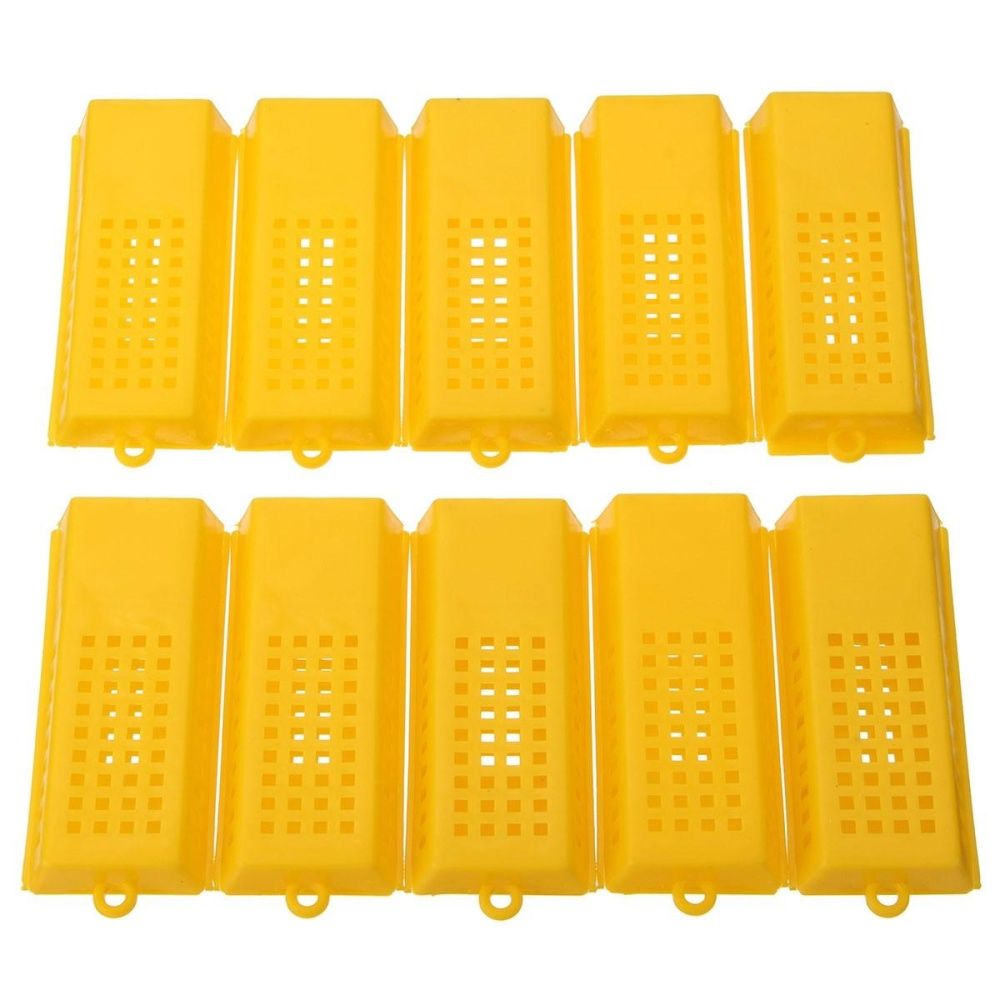 10Pcs Hot Professional  Bee Butler Cage Catcher Trap Case Beekeeping Tool -