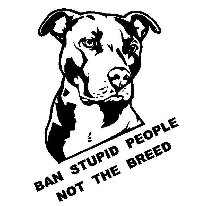 Car Sticker Decal C8-0847 C8-0006 C8-0915 C8-1073